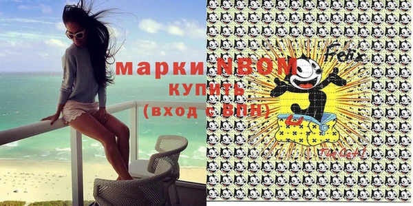 твердый Нягань