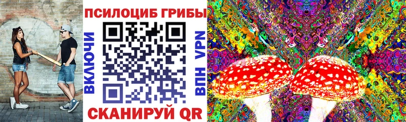MEGA ссылки  Сосенский  Псилоцибиновые грибы Psilocybe 